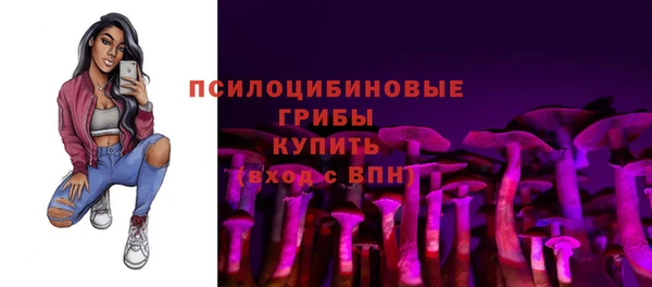 прущая мука Гусев