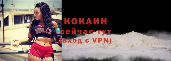 прущая мука Гусев