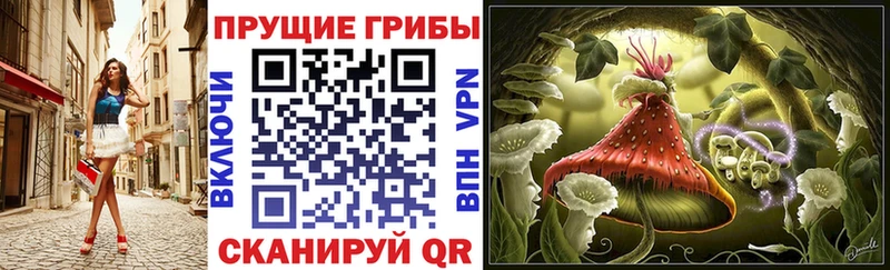Псилоцибиновые грибы Psilocybe Купить закладки Большой Камень